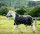 Rambo® Wug 50g Schwarz/Gewittergrau & Silber-Rückenlänge 115cm (C-D) / Körperlänge 168cm 66” (A-B)