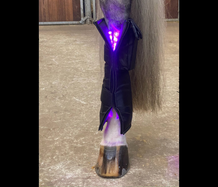 Equine LTS 3.0 light therapy Legwrap for horses 1 pcs