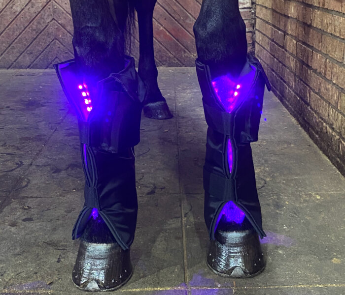 Equine LTS 3.0 Beinpad 2 Stk