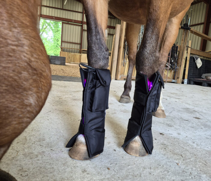 Equine LTS 3.0 Guêtre de luminothérapie 2 pcs