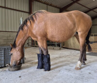 Equine LTS 3.0 Guêtre de luminothérapie 2 pcs