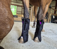 Equine LTS 3.0 Beinpad 2 Stk