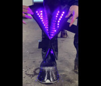 Equine LTS 3.0 Guêtre de luminothérapie 2 pcs