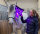 Equine LTS 3.0 Guêtre de luminothérapie 2 pcs