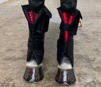 Equine LTS Supreme Beinpad 1 Stk