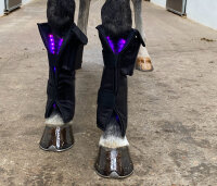Equine LTS Supreme Beinpad 1 Stk