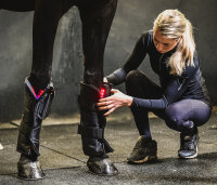 Equine LTS Supreme Beinpad 1 Stk
