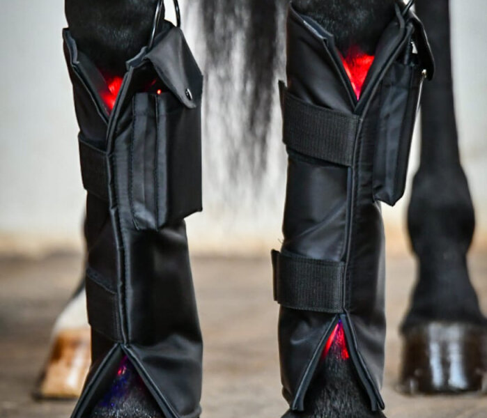 Equine LTS Red Edition Guêtre de luminothérapie 2 pcs