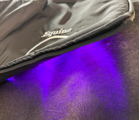 Equine LTS NEW Edition Topline