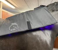 Equine LTS NEW Edition Topline