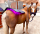 Equine LTS NEW Edition Topline