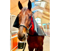 Equine LTS R-Serie Topline Action Pad de luminothérapie