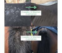 Ozone Skin Guard 100ml