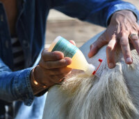 Ozone Skin Guard 250 ml