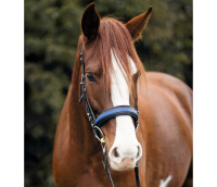 Slim Noseband (for Equitrense®)