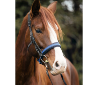 Slim Noseband (for Equitrense®)