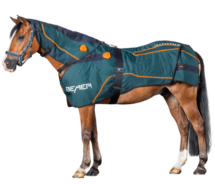 Bemer Perfect Horse Duo
