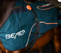 Bemer Perfect Horse Duo