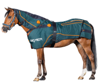 Bemer Perfect Horse Duo