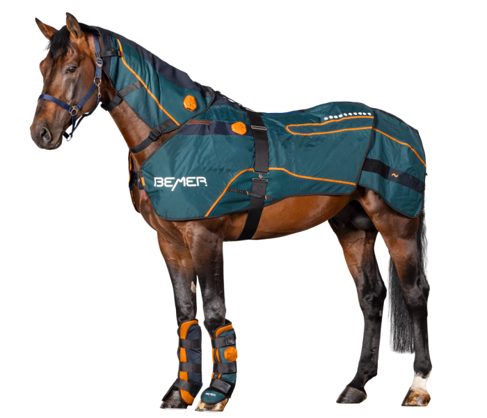 Bemer Horse Premium