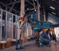Bemer Horse Premium