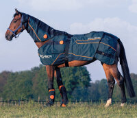Bemer Horse Premium