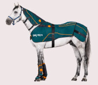 Bemer Horse Premium