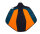 Bemer Horse Premium