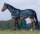 Bemer Horse Premium