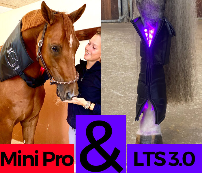 BUNDLE Mini Pro + 1 pcs leg pad LTS 3.0