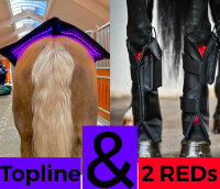 Bundle Topline + 1 pair Red Edition Legwraps