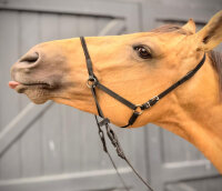 BitlessBridle Alizée by Equimero