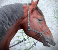 BitlessBridle Alizée by Equimero