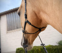 BitlessBridle Alizée by Equimero