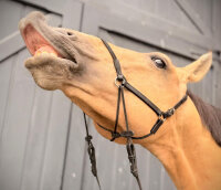 BitlessBridle Alizée by Equimero