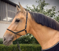 BitlessBridle Alizée by Equimero