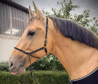 BitlessBridle Alizée by Equimero