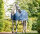 Horseware Ionic® Therapy Liner 50 g-Longueur du dos 155 cm (C-D) / Longueur du corps 206 cm 81” (A-B)
