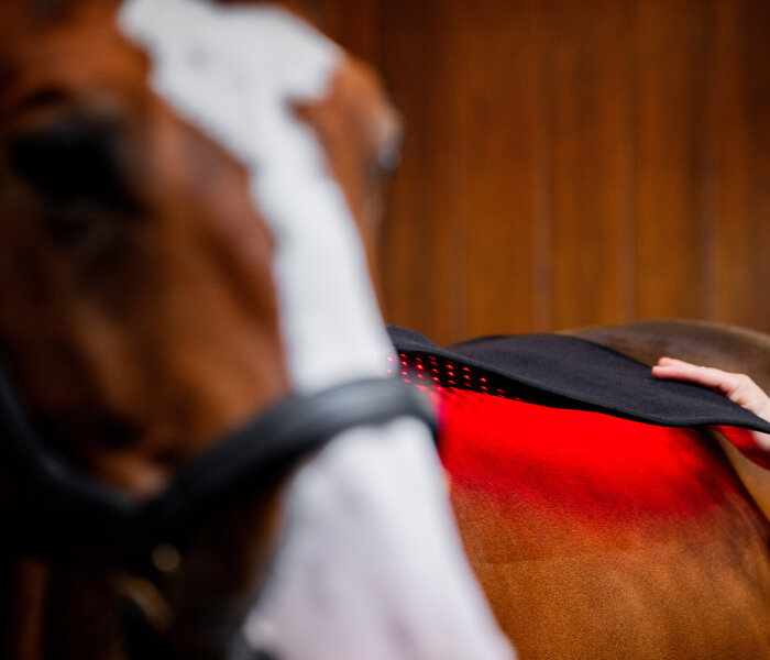 Horseware® LED Red Light Therapy Pad