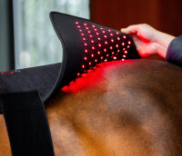 Horseware® LED Red Light Therapy Pad