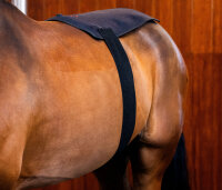 Horseware® LED Red Light Therapy Pad