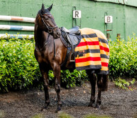 Horseware® Newmarket Fleece Cooler Witney Gold Longueur du dos 125 cm (C-D) / Longueur du corps 175 cm 69” (A-B)