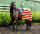 Horseware® Newmarket Fleece Cooler Witney Gold Longueur du dos 140 cm (C-D) / Longueur du corps 191 cm 75” (A-B)