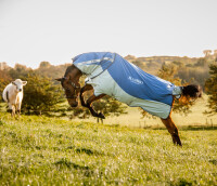 Rambo® Autumn Series Turnout (0g Außen mit 100g Liner) Navy/ Grau-Rückenlänge 140cm (CD) / Körperlänge 191cm 75" (A-B)