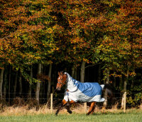 Rambo® Autumn Series Turnout (0g Außen mit 100g Liner) Navy/ Grau-Rückenlänge 145cm (CD) / Körperlänge 198cm 78" (A-B)