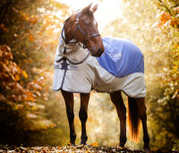 Rambo® Autumn Series Turnout (0g Außen mit 100g Liner) Navy/ Grau-Rückenlänge 145cm (CD) / Körperlänge 198cm 78" (A-B)