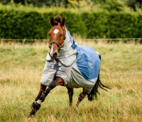 Rambo® Autumn Series Turnout (0g Outer with 100g Liner) Navy/ Grey-Back length 155cm (CD) / Body length 206cm 81" (A-B)