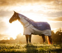 Rambo® Autumn Series Turnout (0g Outer with 100g...