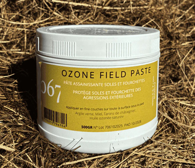 067 Ozone Field Paste