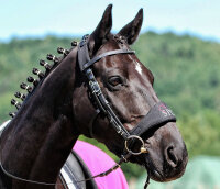 Equitrense® CLASSIC